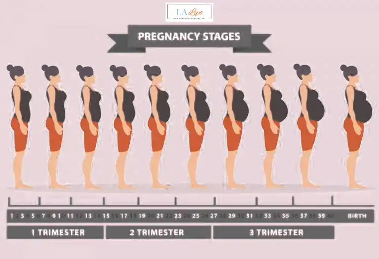 First Trimester (Weeks 1–12): Early Changes You Might Not Notice Chiswick